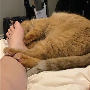 Meet your Posher, Maddy